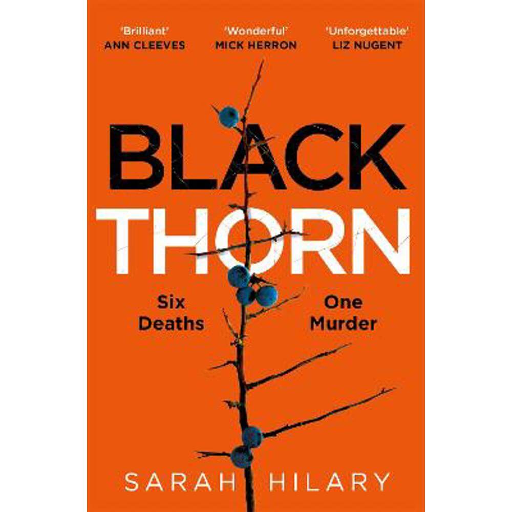 Black Thorn: A slow-burning, multi-layered mystery about families and their secrets and lies (Paperback) - Sarah Hilary